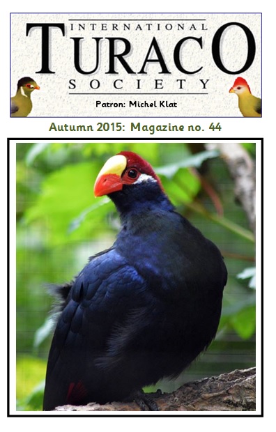 Issue 44