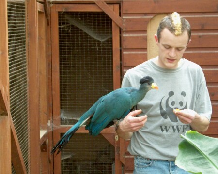 A young and bleached mohawked picture of Owen.  Any smart comments would be gratefully un-received!